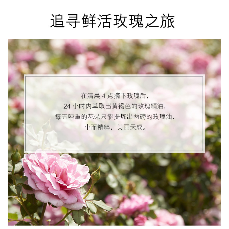 欧派(OU PEI)眼霜玫瑰精华水润清透细致紧弹平滑抚纹锁水臻亮修护霜