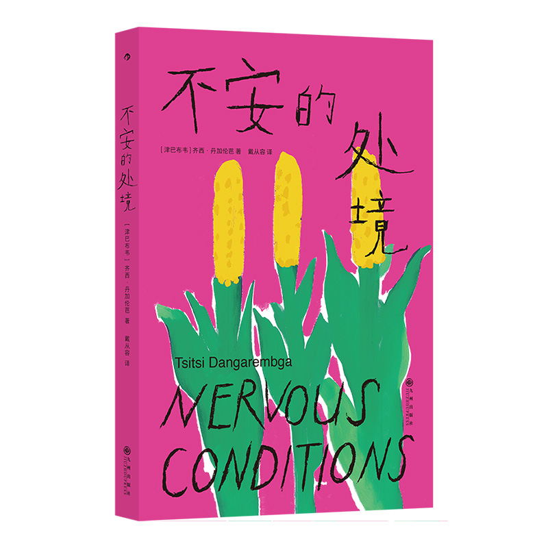 正版新书]不安的处境[津巴布韦] 齐西·丹加伦芭 后浪9787522532高清大图