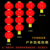新年喜庆节日红灯笼户外防水装饰氛围拉丝灯笼 圆12寸两连串 10串