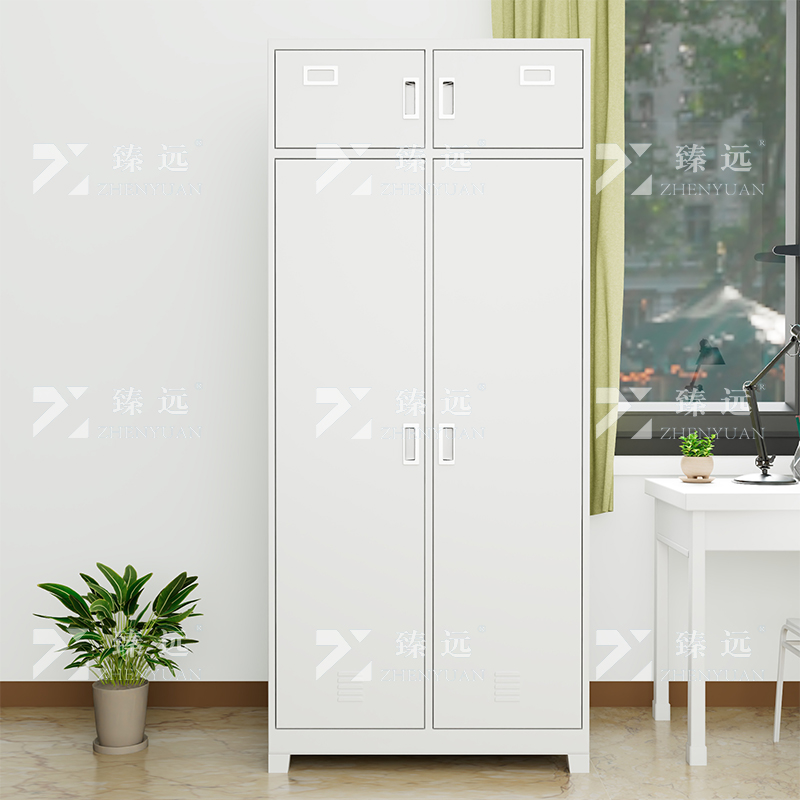 臻远 内务柜干部双人铁皮柜宿舍双门士官更衣储物柜高清大图