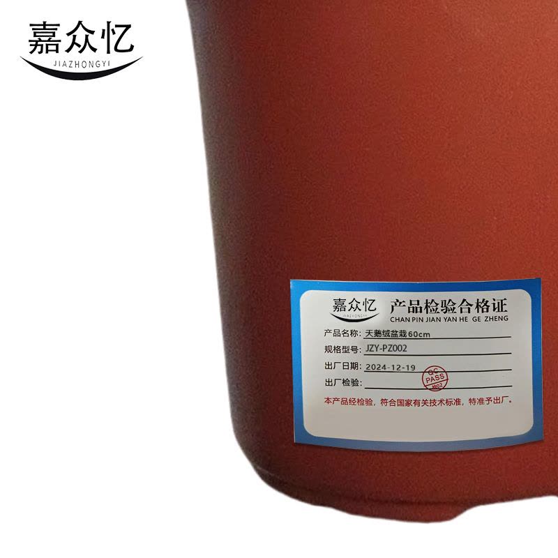 嘉众忆 紫背天鹅绒盆栽60cm JZY-PZ002 个图片