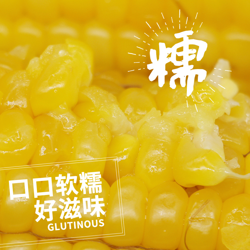 苏宁宜品自营农得客博斯糯9号东北香甜糯玉米棒8根 非转基因健康减肥杂粮高清大图