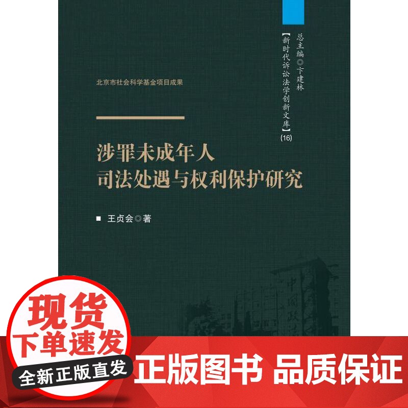 涉罪未成年人司法处遇与权利保护研究 王贞会 中国人民公安大学出版社 正版书籍高清大图