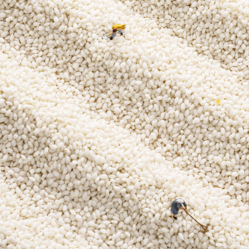 北纯 有机糯米-(罐装)750g高清大图