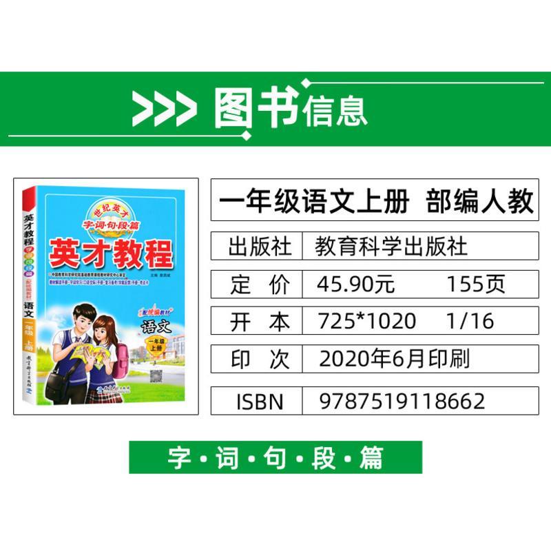 正版2020秋季 英才教程一年级上册语文 部编人教版 小学1一年级语文上册教材课本辅导 全彩版 小学教材全解全练一年级上