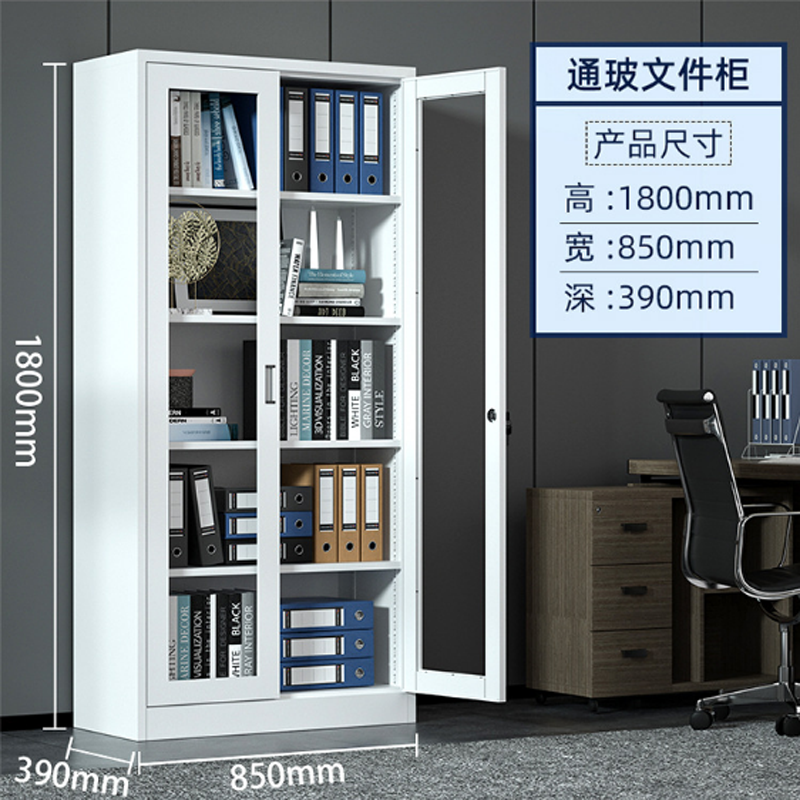 水枸 实用家具文件柜 SJZ-600 个高清大图