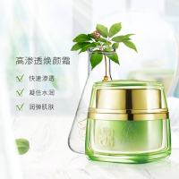 百雀羚(PECHOIN)保湿面霜 水能量焕颜霜50g 草本护肤保湿补水各种肤质通用