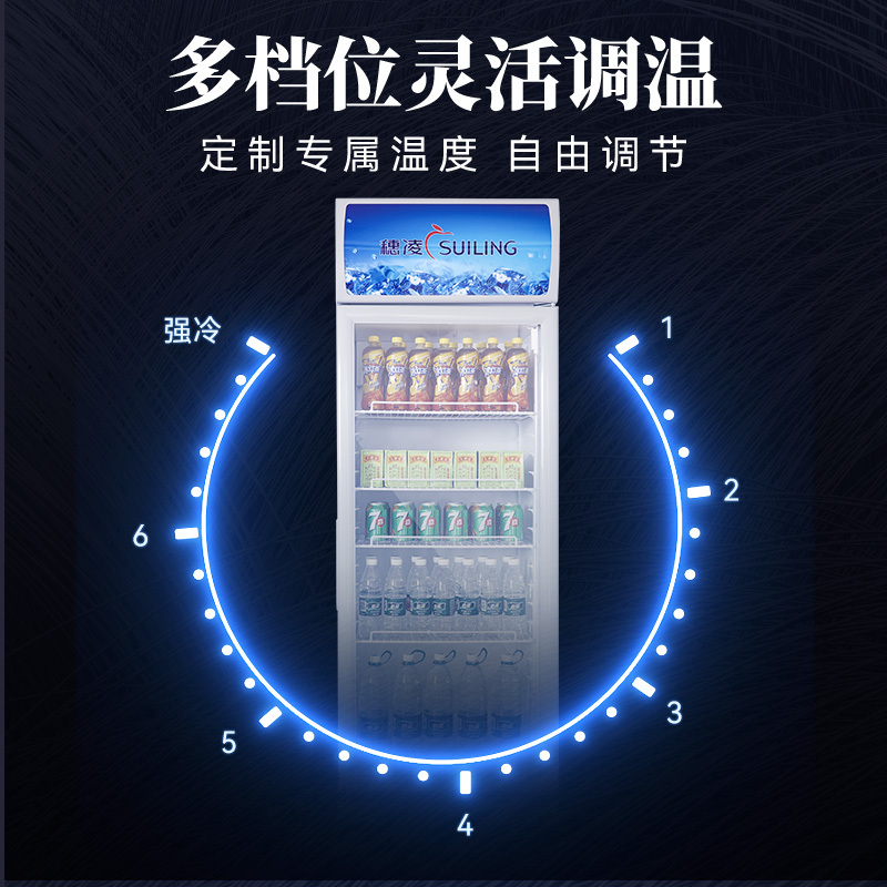 穗凌(SUILING) LG4-305FE商用立式展示柜饮料柜汽水矿泉水柜风直冷速冻冷藏双层玻璃 一级能效[新款上市]