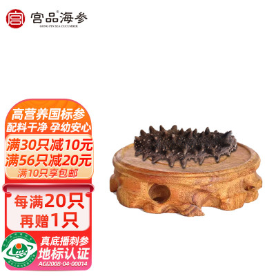 宫品3-3.4cm淡干小海参1只