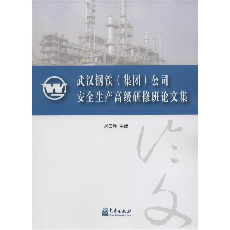 正版新书]武汉钢铁(集团)公司安全生产高级研修班论文集赵云胜97高清大图