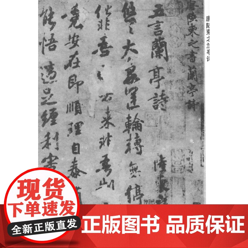 行草上册 书法自学丛帖 书法碑帖 字帖 毛笔字 篆刻 行书及草书的学习方法 正版图书籍 上海书画出版社 世纪出版高清大图