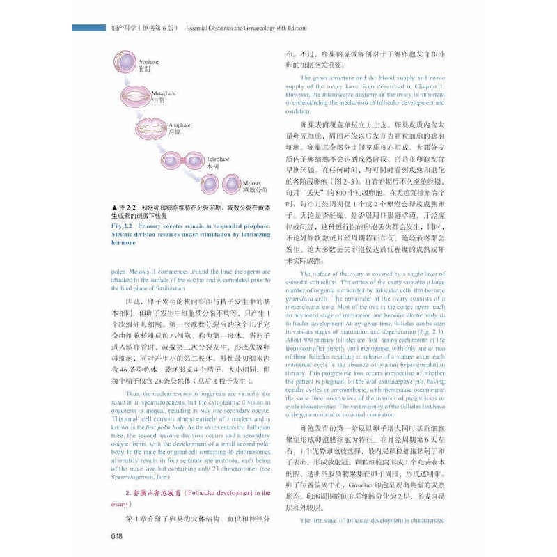 正版 妇产科学(原书第6版·中英双语)高清大图