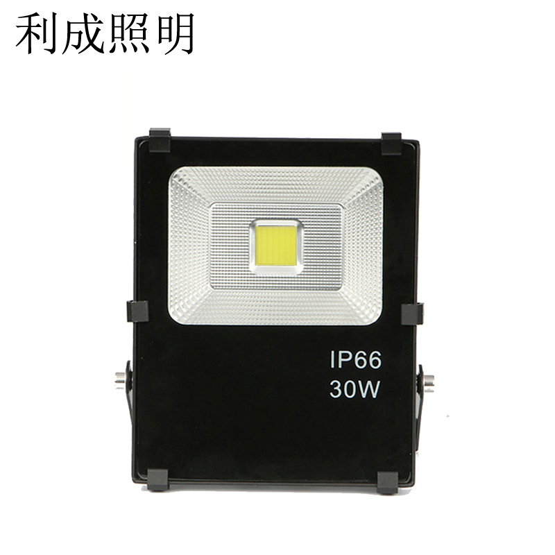 利成照明 投光灯 LC1320-30W