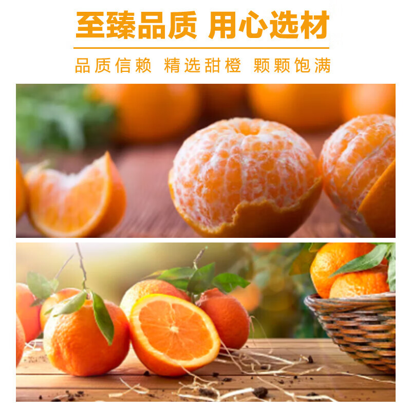 北冰洋MINI橙汁汽水果汁汽水碳酸饮料200ml*12罐高清大图