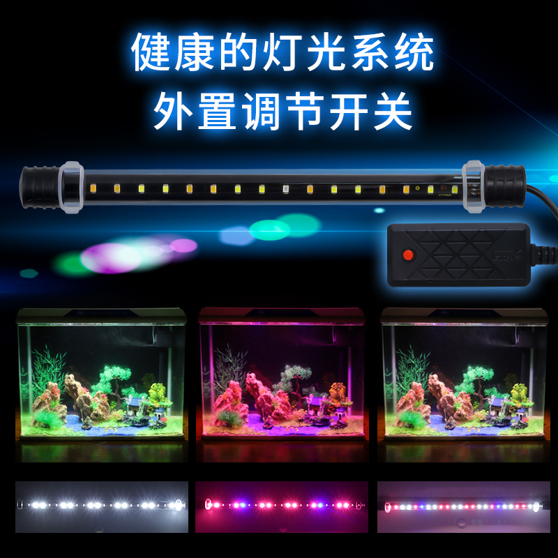 家庭水族馆自循环生态鱼缸孔雀鱼专用客厅中小型创意桌面宿舍精致高清大图