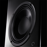 迪杰锐声(DIGIRESEARCH) 扬声器 DVS4