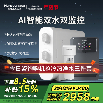 汉斯顿净水器家用直饮厨房无桶大流量500G双出水净水机ro纯水C2