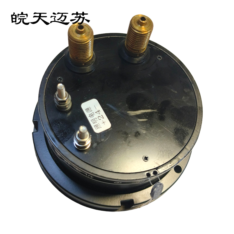 皖天迈苏YYS100Z 0-1200Kpa双针压力表一块高清大图