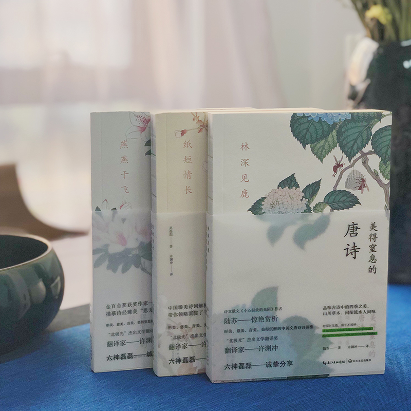 [醉染正版]许渊冲著正版 美得让人窒息的唐诗宋词诗经3册套装 中英双语诗画集古典唯美古诗词国学经典书籍 文学诗词鉴赏散文高清大图