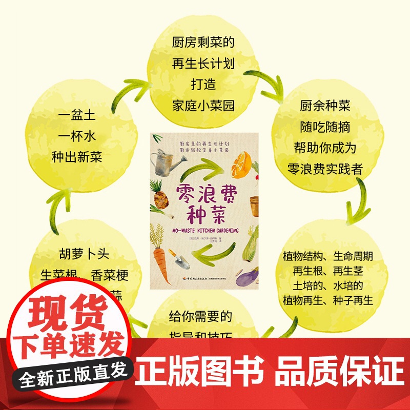 生活-零浪费种菜 种菜养花园艺生活阳台厨房家庭零浪费 菜根别丢 一盆土一杯水 种出新菜 一步一图 零基础也可以轻松上手高清大图