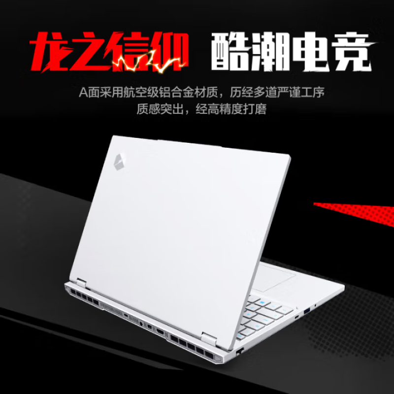 机械革命蛟龙16Pro 白色游戏本 R9-8940HX 5.3GHz RTX5060 32GB DDR5 1TB SSD 16英寸2.5K屏 蓝牙5.2 2.2kg轻薄长效续航