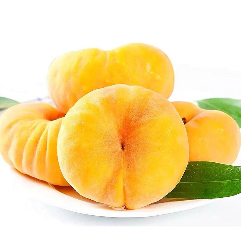 黄金毛蟠桃4.5斤/箱 新鲜水果蒙阴扁桃脆甜应季现摘现多汁黄桃顺丰