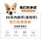 狗狗牵引绳背心式遛狗绳子泰迪法斗柯基中型犬小型犬宠物用胸背带 红色单背带[收藏送礼] xs码[建议5-10斤]