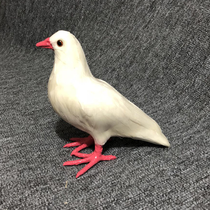 仿真鸽子摆件和平鸽羽毛鸟动物教学鸽子模型家居婚礼创意装饰白鸽