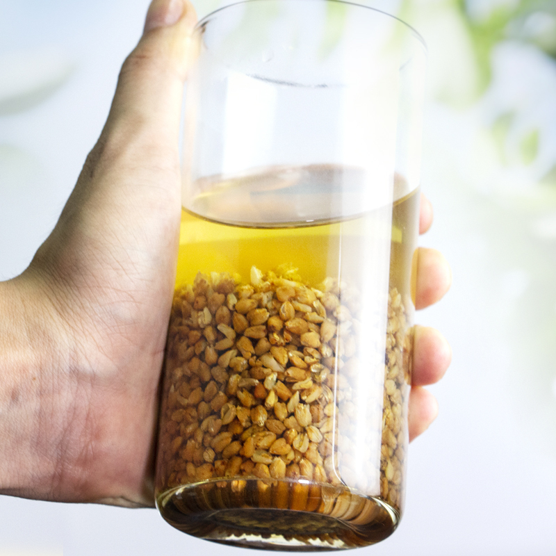 茶马世家黑苦荞茶黑珍珠大凉山黑苦荞250g罐装