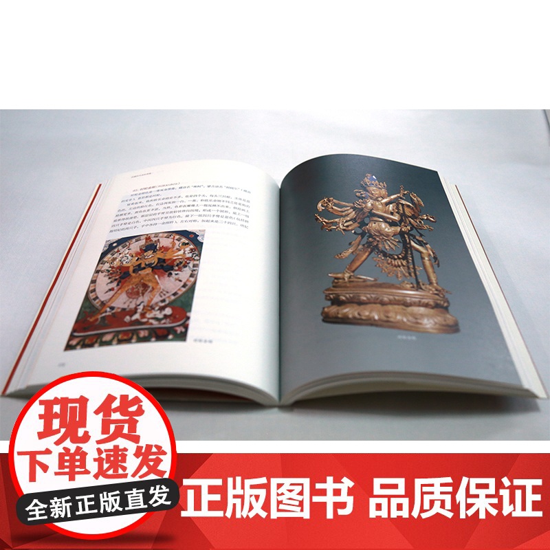 西藏的寺庙和佛像 金申 著 文化研究高清大图