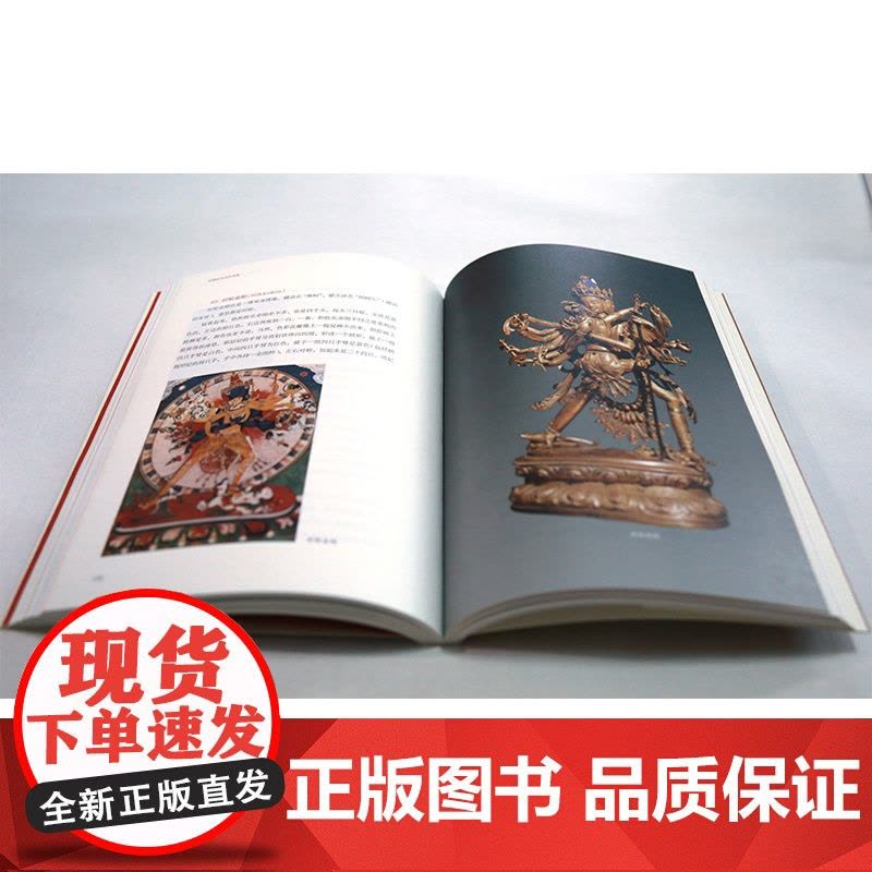 西藏的寺庙和佛像 金申 著 文化研究图片