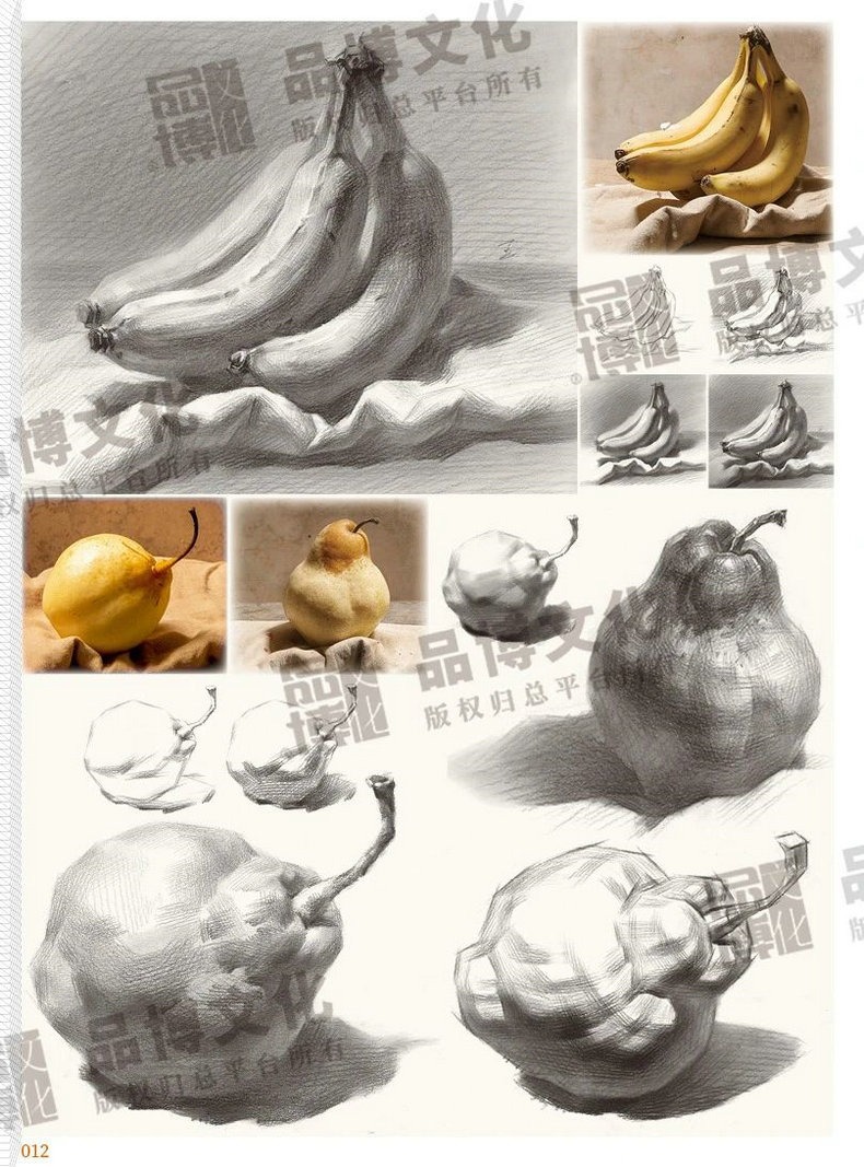 [正版]经典入门2素描静物与石膏像二合一 2023品博文化王洪平高清大图