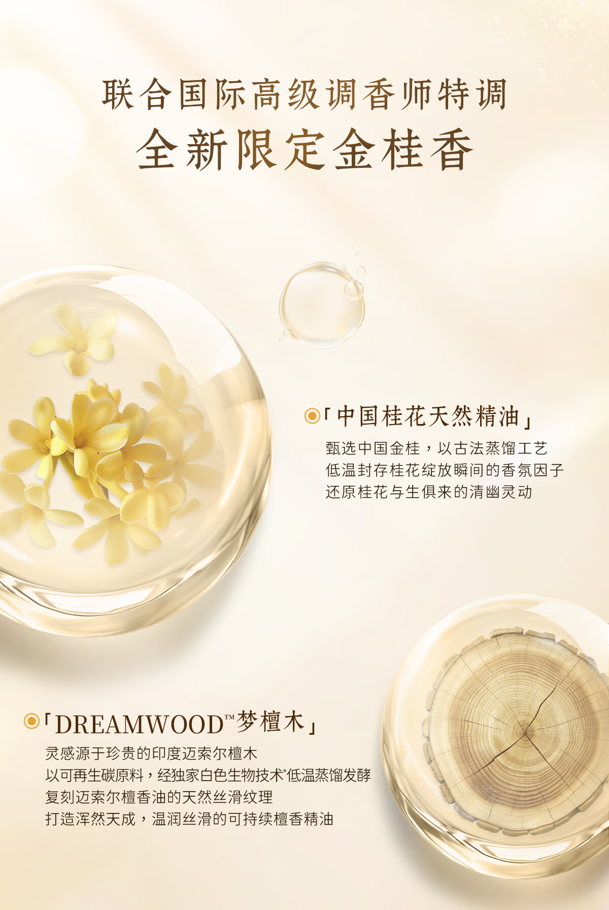 独特艾琳你最珍桂·泼天馥桂香氛礼盒高清大图