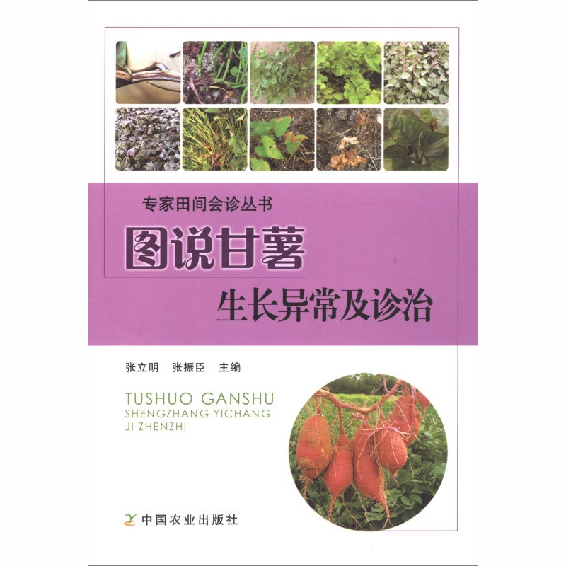 [醉染正版]图说甘薯生长异常及诊治 张立明 红薯山芋地瓜高效栽培种植技术书籍 疾病防治病虫害防治大全 中国农业出版社高清大图