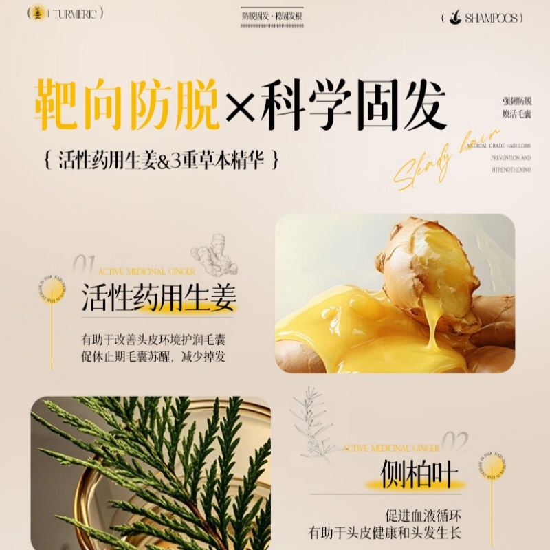 维特丝 生姜固发洗发水500ml(V领)高清大图