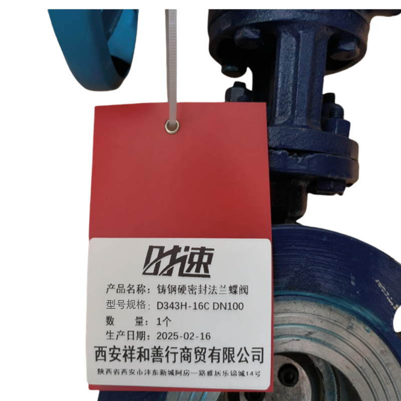 时速 铸钢硬密封法兰蝶阀 D343H-16C DN100 个高清大图