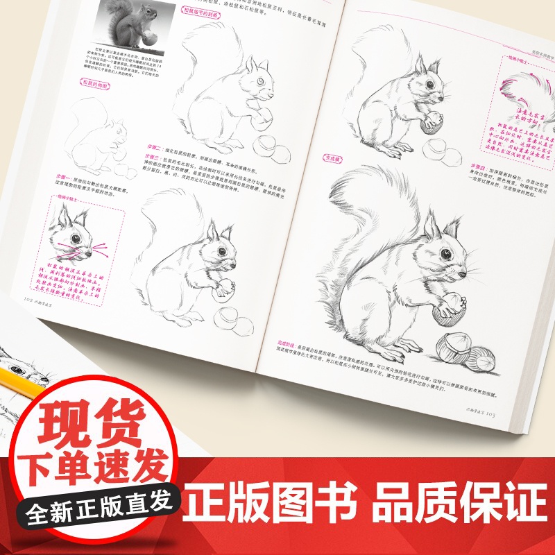经典全集 兴趣学素描/速写/风景3本套装 零基础入门 画画自学素描入门 绘画步骤详细一步一画 素描临摹画册书籍杨建飞主编高清大图