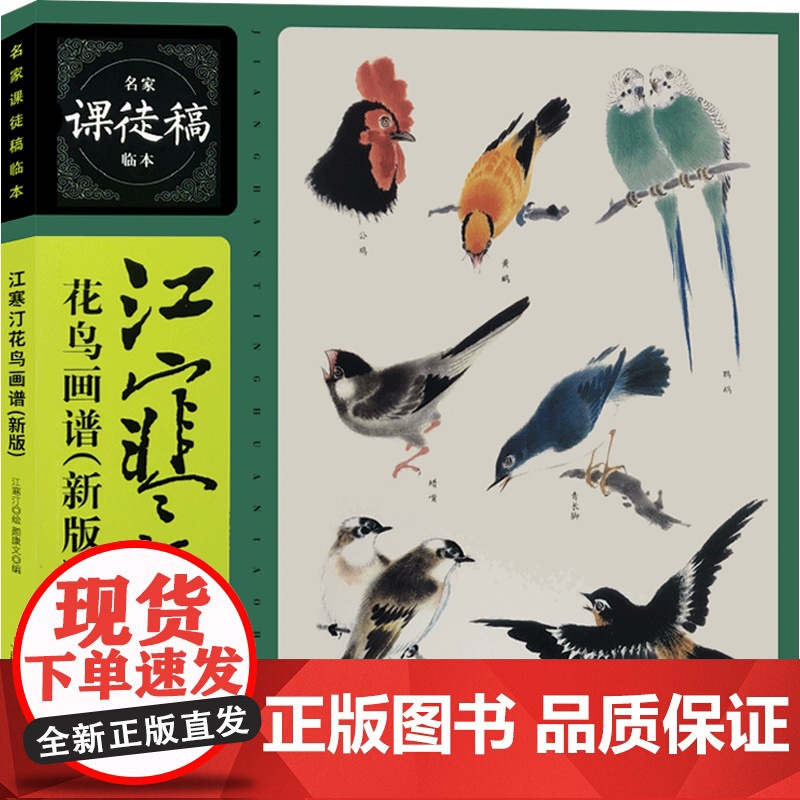 江寒汀花鸟画谱新版名家课徒稿临本 海派优秀禽鸟形态嘴眼脚爪翅尾头部画法花鸟顺序鹦鹉麻雀画眉鹌鹑燕子八哥 上海人民美术出版高清大图