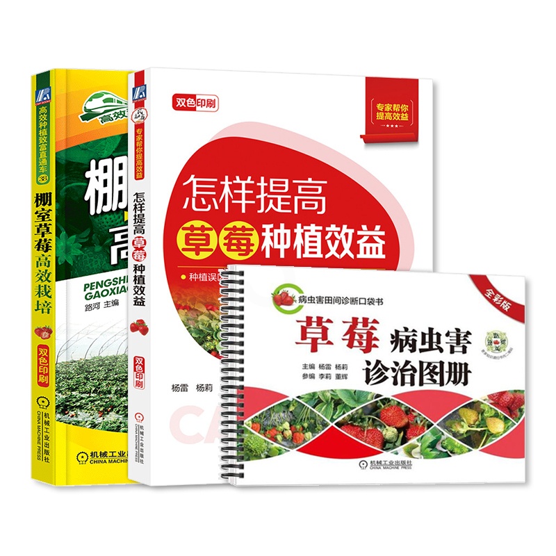 [正版]草莓种植栽培技术大全书籍 棚室高效栽培 病虫害诊治图册 怎样提高草莓种植效益 防治教程种育苗栽培和精细化管理高清大图