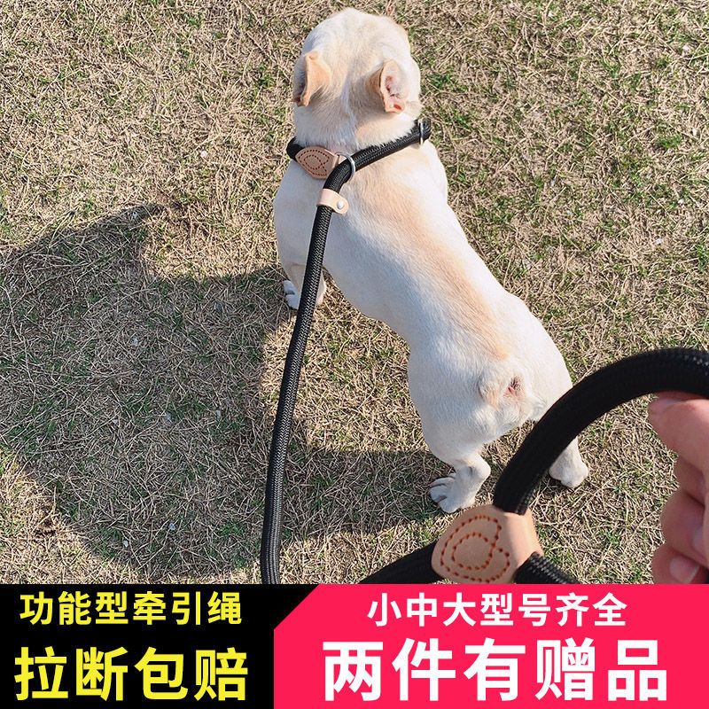 米色(1.5米) 绳粗:0.6cm 狗绳狗链子防爆冲p链遛狗训练跟随赛级P绳牵引带小中大型犬牵引绳