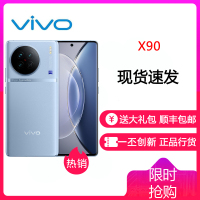 vivoX90 8GB+256GB 冰蓝 5G全网通新品天玑9200旗舰自研V2双芯片VCS仿生光谱大底主摄120W双芯闪充120Hz超视网膜护眼屏拍照游戏学生智能手机 X90