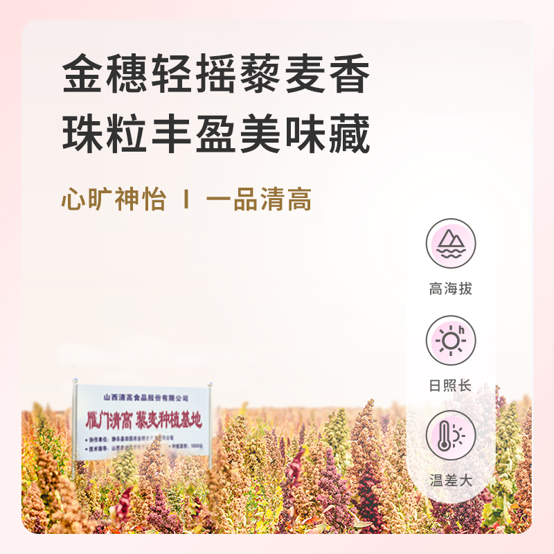 雁门清高 白藜麦米山西忻州藜麦米400g*2杂粮宝宝米营养辅食粥高清大图