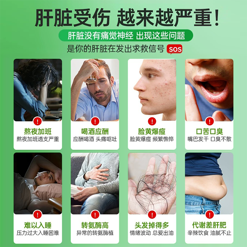北京同仁堂内廷上用 灵芝绞股蓝葛根胶囊 蓝帽子保健化学性肝损伤