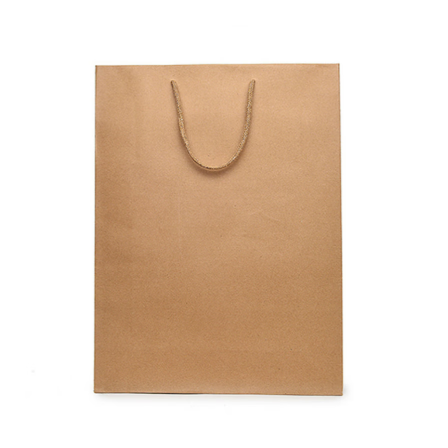 秦泰(Cqint) QtZD-001 32*40*10cm 大号竖式牛皮纸袋 10个/包(计价单位:包)