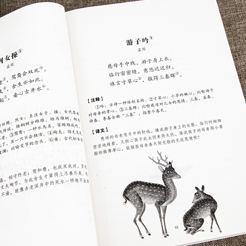 唐诗三百首 [正版]唐诗三百首全集 完整版300首 原文注释译文附插图 全解详注中国古诗词鉴赏 传统文化国学启蒙 初中生高清大图