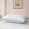 梦洁家纺 玻尿酸亲肤枕对枕 1050301305