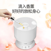 泰瑞达(TER)香薰型加湿器 家用静音空气加湿器 大容量香薰机 办公室卧室孕妇婴儿 上加水加湿机