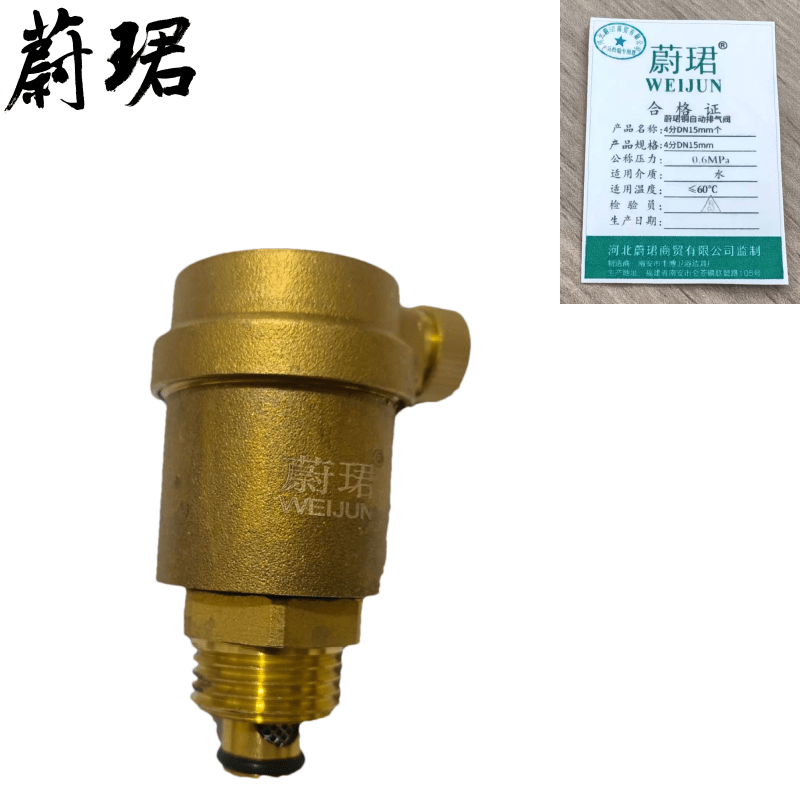 蔚珺铜自动排气阀4分DN15mm个