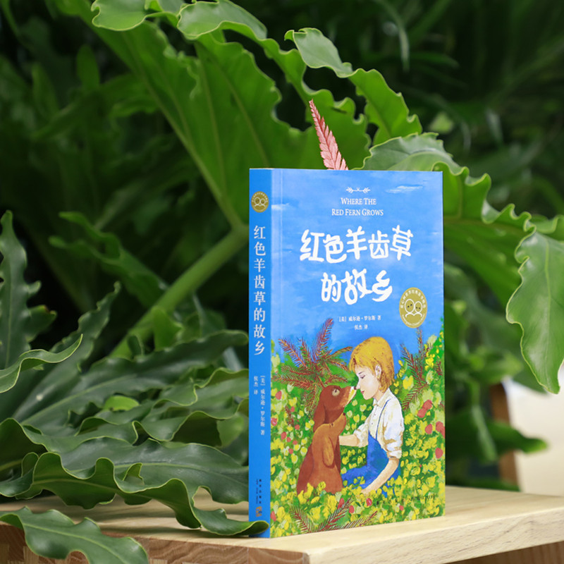 [正版]书店红色羊齿草的故乡 (美)威尔逊·罗尔斯著 外国儿童文学新星出版社小学生高清大图