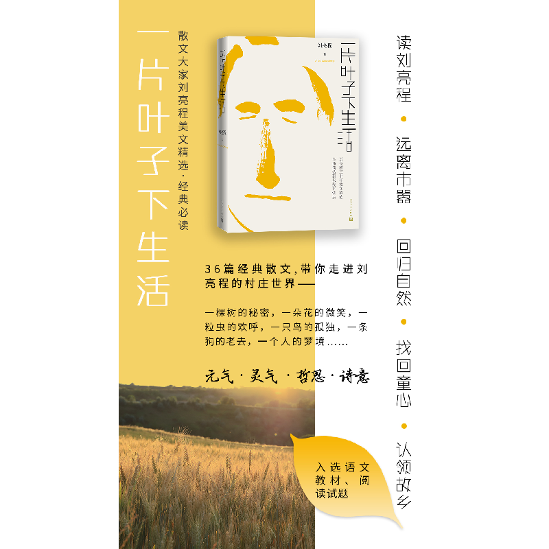 醉染图书一片叶子下生活9787020161164高清大图